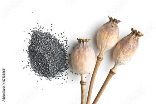 Obraz na płótnie Dried poppy heads and seeds.