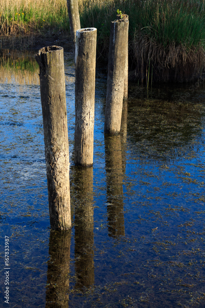 Ruined pier poles lit by sunshine and reflected in lakewater Ruined pier poles lit by sunshine and reflected in lakewater