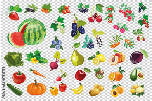 Vegetable berry fruit big collection vector kit isolated