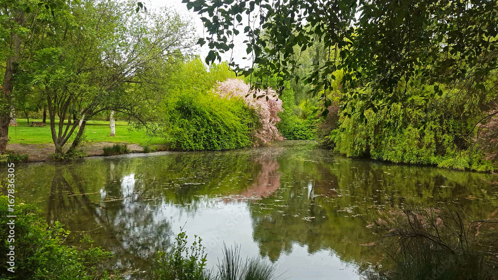 Lago en Parque con Frondosa Vegetacion en Primavera