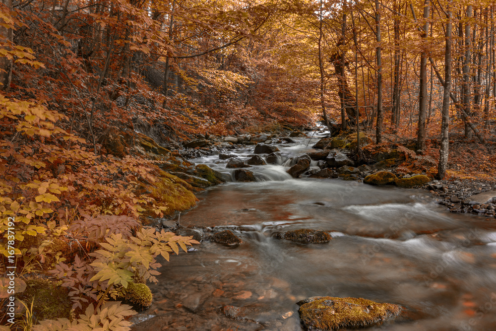 Beautiful autumn landscape with mountain river and colorful trees