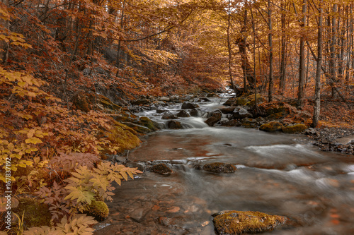 Fototapeta Naklejka Na Ścianę i Meble -  Beautiful autumn landscape with mountain river and colorful trees
