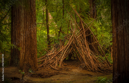 hovel in the red wood © Dmitry Caraman