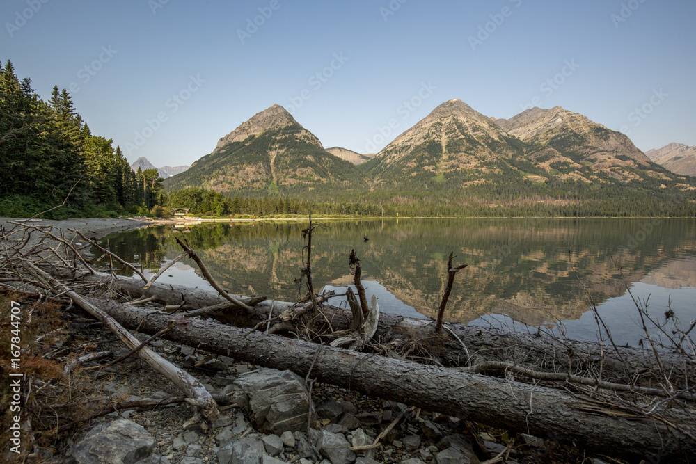 mountain and lake shore with logs