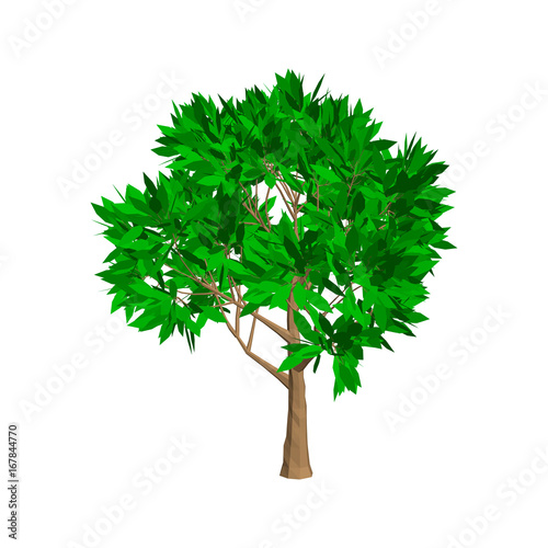 Apple tree. Isolated on whi...