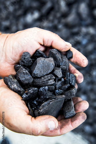 Coal in hand