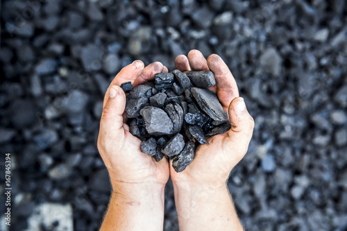 Coal in hand Fototapeta