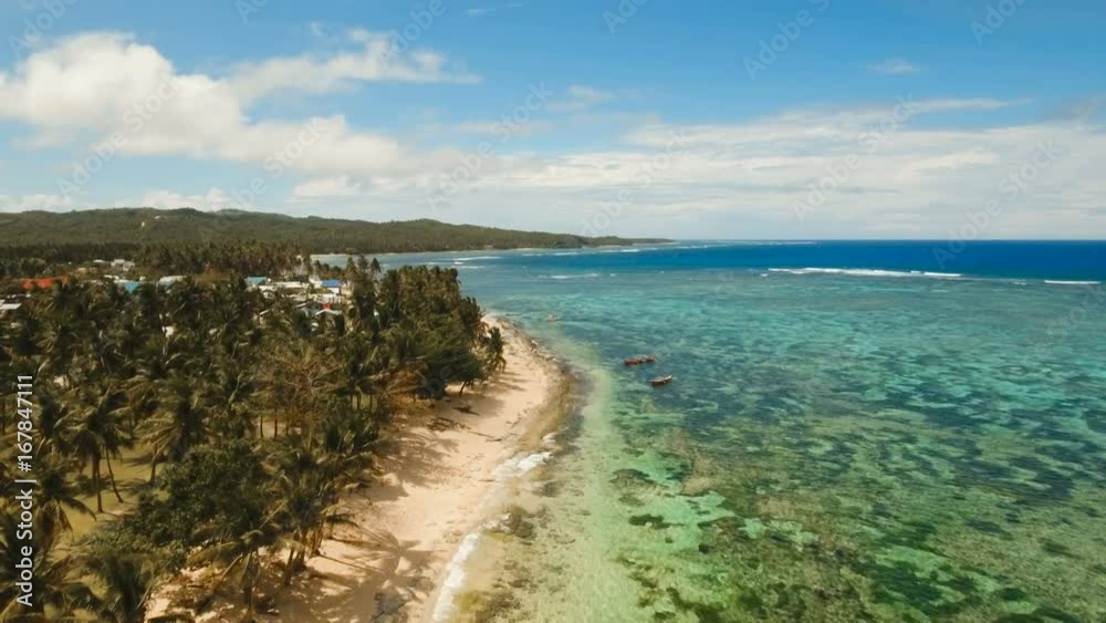 Aerial view of tropical beach on the island Siargao, Philippines. Beautiful tropical island with sand beach, palm trees. Tropical landscape: beach with palm trees. Seascape: Ocean, sky, sea Aerial view of tropical beach on the island Siargao, Philippines. Beautiful tropical island with sand beach, palm trees. Tropical landscape: beach with palm trees. Seascape: Ocean, sky, sea