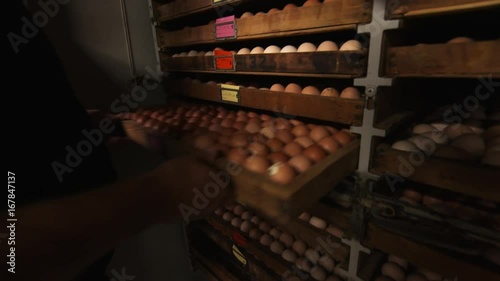 Man places container of eggs in refrigeration room in factory