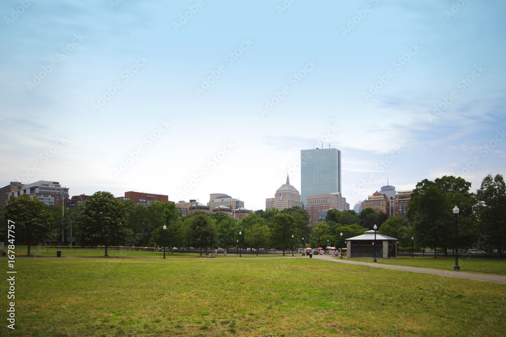View of Downtown Boston from Common