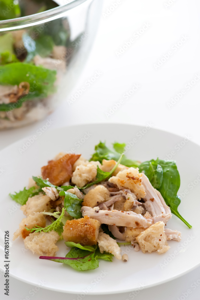 roast chicken and bread salad in a plate roast chicken and bread salad in a plate