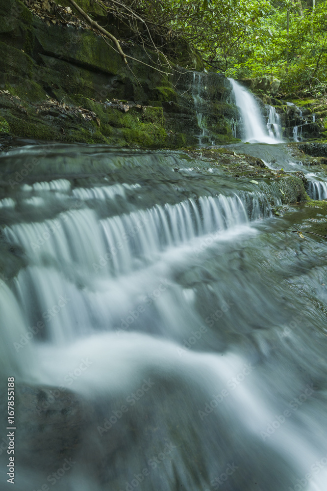 Stream & Waterfalls, Greenbrier, Great Smoky Mountains NP