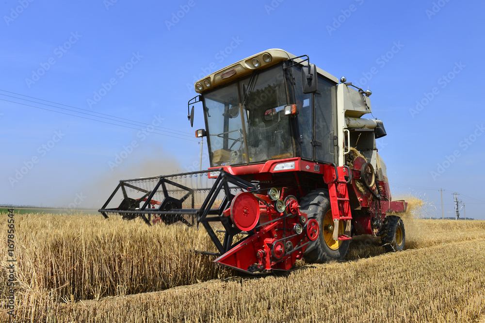 Fototapeta premium Harvester in wheat