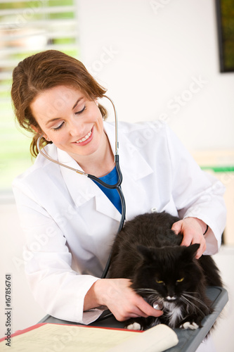 Fototapeta Naklejka Na Ścianę i Meble -  Veterinarian: Woman Holding Pet Cat