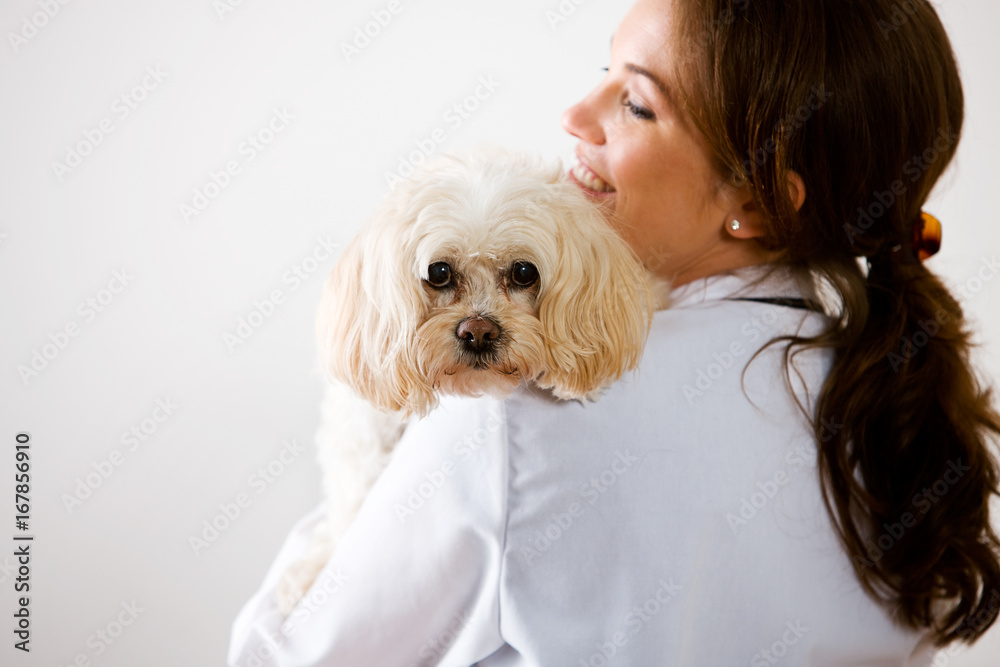 Veterinarian: Woman Holding Pet Cat Veterinarian: Woman Holding Pet Cat