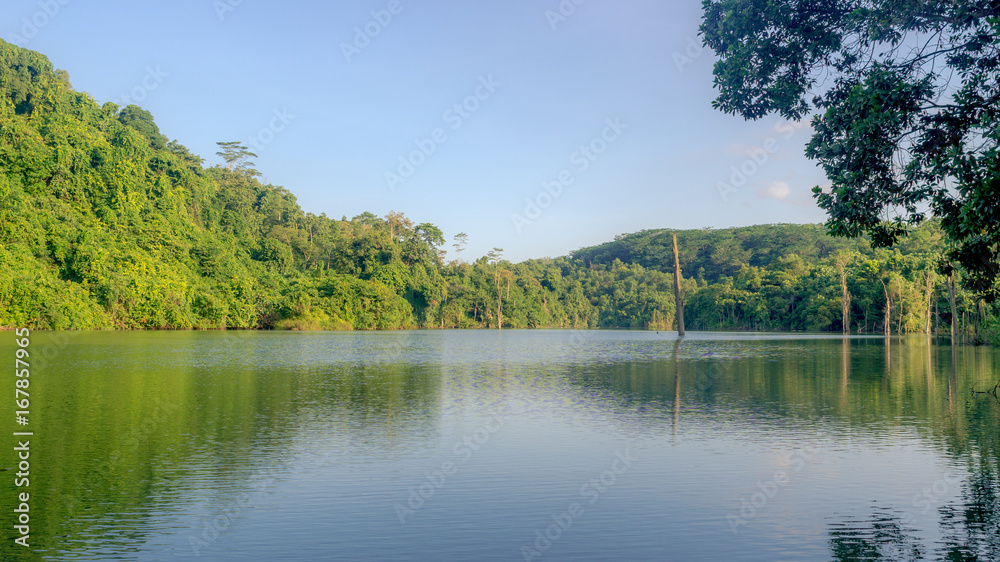 beautiful lake surrounded by dense rain forest