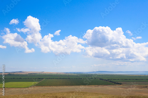 agricultural field on blue sky background