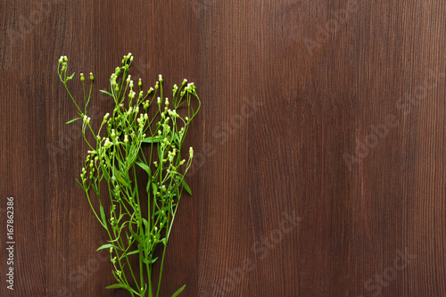 Small white wild flowers on brown wooden background