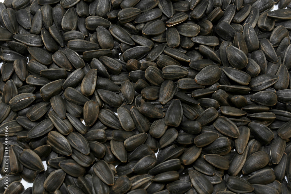 sunflower seeds isolated on white background sunflower seeds isolated on white background