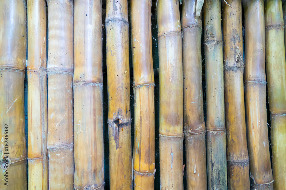 Dried bamboo texture and background Dried bamboo texture and background