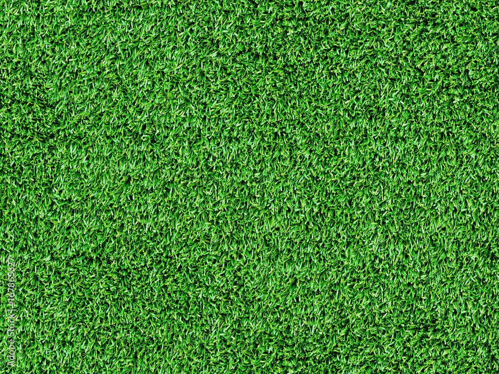 Fototapeta premium Texture green grass. Background of green turf grass. Texture coating of a football field. Green lawn