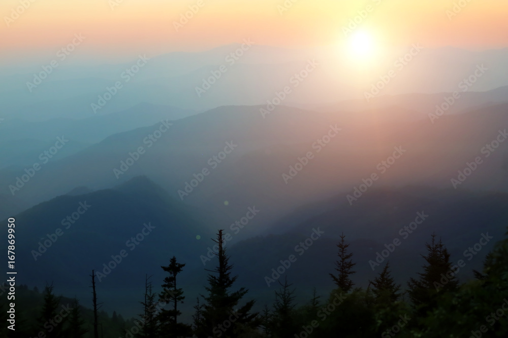 mountain forest and beautiful sunset