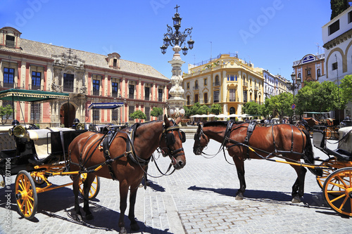 Seville Plaza with carriages and horses on the foreground, Spain