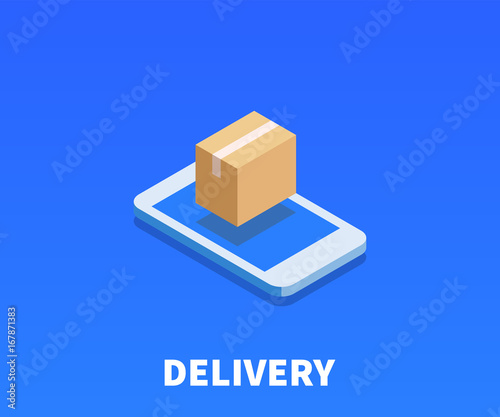 Web Package, Delivery icon, illustration, vector symbol in flat isometric 3D style isolated on color background.
