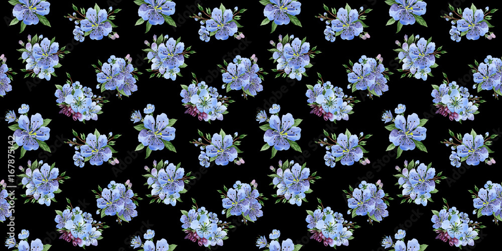 Wildflower cherry flowers flower pattern in a watercolor style. Full name of the plant: cherry flowers. Aquarelle wild flower for background, texture, wrapper pattern, frame or border. Wildflower cherry flowers flower pattern in a watercolor style. Full name of the plant: cherry flowers. Aquarelle wild flower for background, texture, wrapper pattern, frame or border.