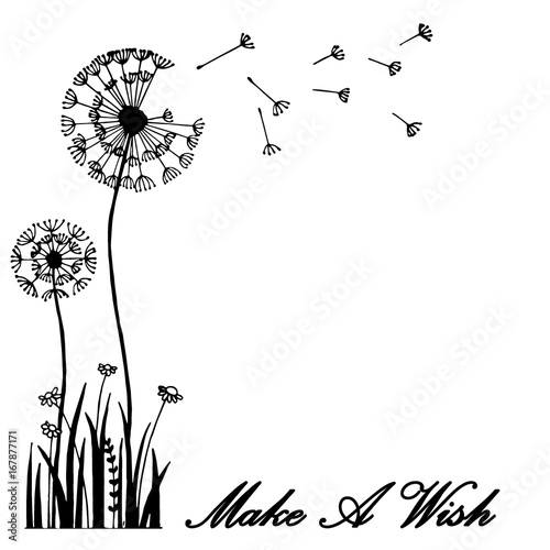 Hand drawn greeting card dandelion flower blow with the wind; vector illustration; graphic art. Make a wish concept.