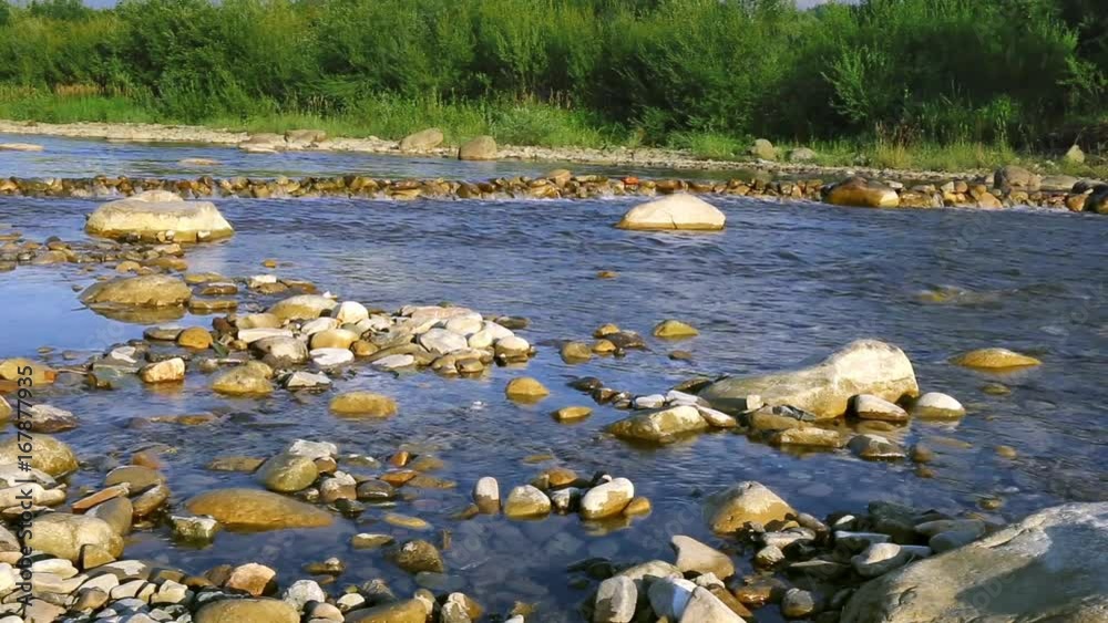 Beautiful nature background with stream in the forest