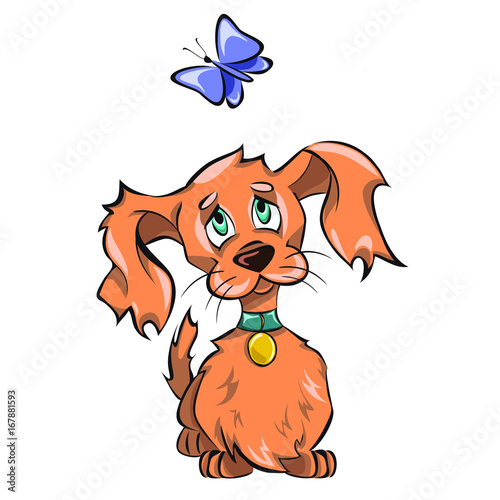 Cute Dog Playing Wit Butterfly