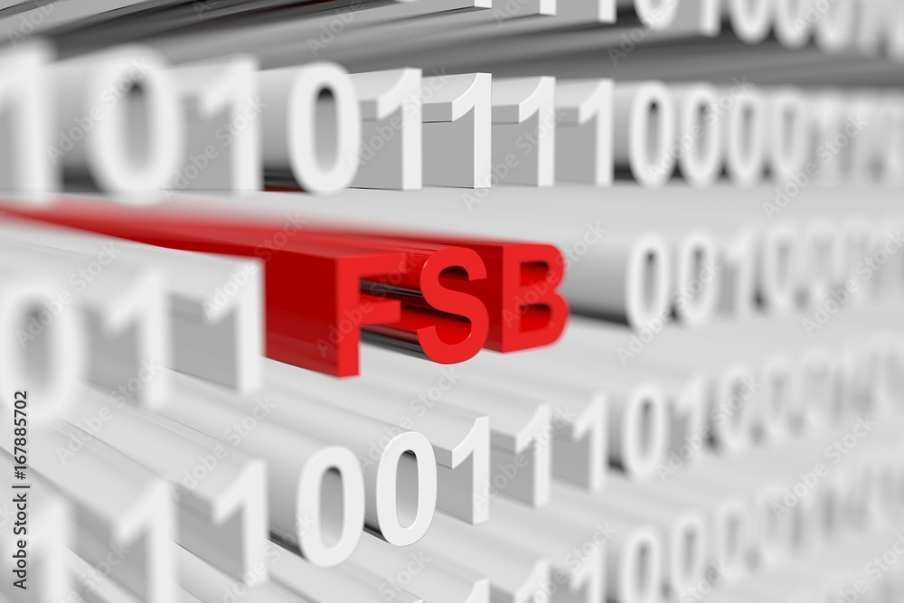 FSB as a binary code with blurred background 3D illustration