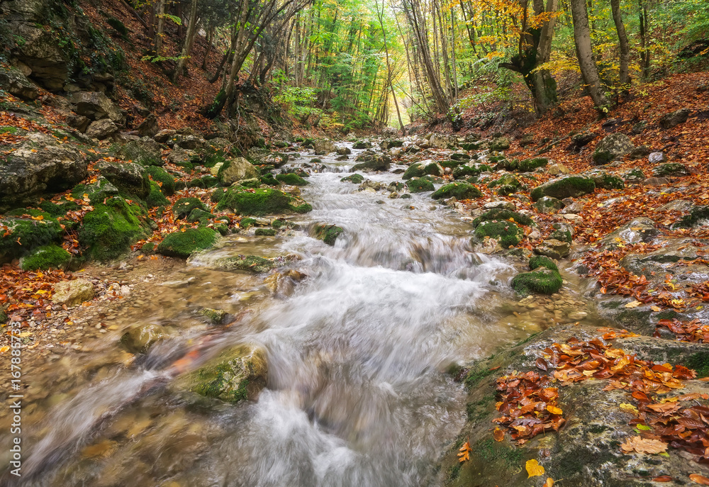 Autumn creek woods with yellow trees foliage and rocks in forest mountain. Autumn creek woods with yellow trees foliage and rocks in forest mountain.