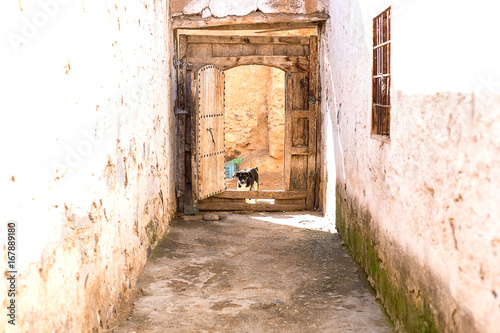 antica porta  © saad