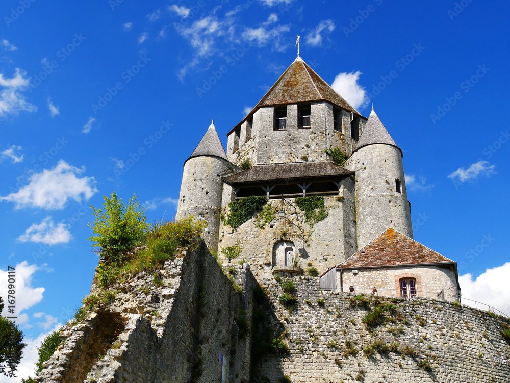 Fototapeta premium Château