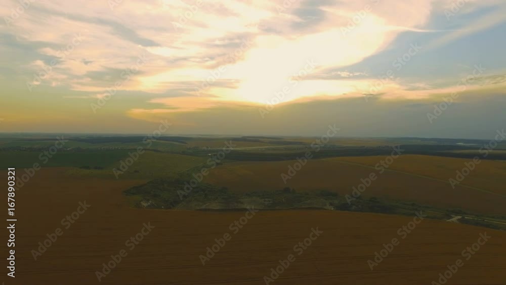 Aerial view of meadow, landscape and golden wheatfield on the cloudy sunset 4K Aerial view of meadow, landscape and golden wheatfield on the cloudy sunset 4K