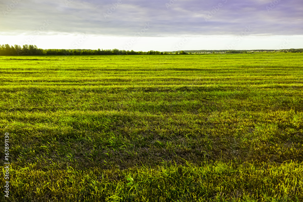 Naklejka premium Sunset is over the field