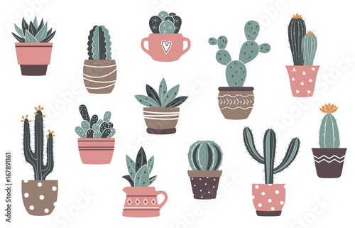 Vintage vector cactus and succulents set. Cute cactus in flower pots.