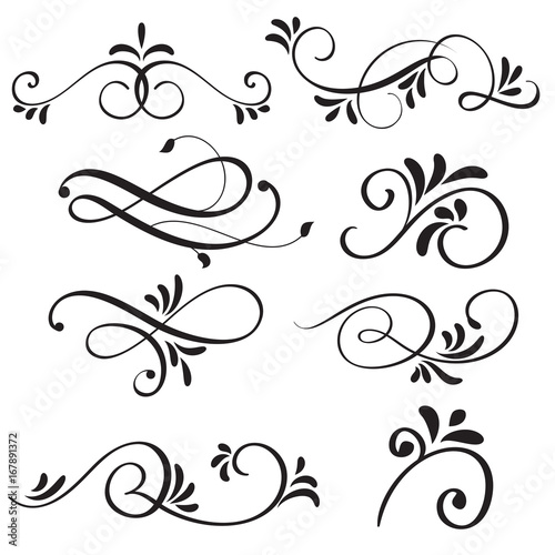 art calligraphy flourish of vintage decorative whorls for design. Vector illustration EPS10