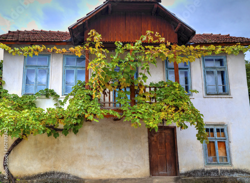 Facade of stylish old house decorated with fresh green vine