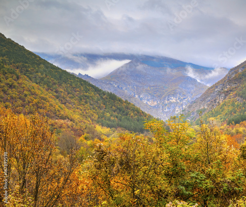 Beautiful landscape in the mountain with colorful autumn forest © phadventure