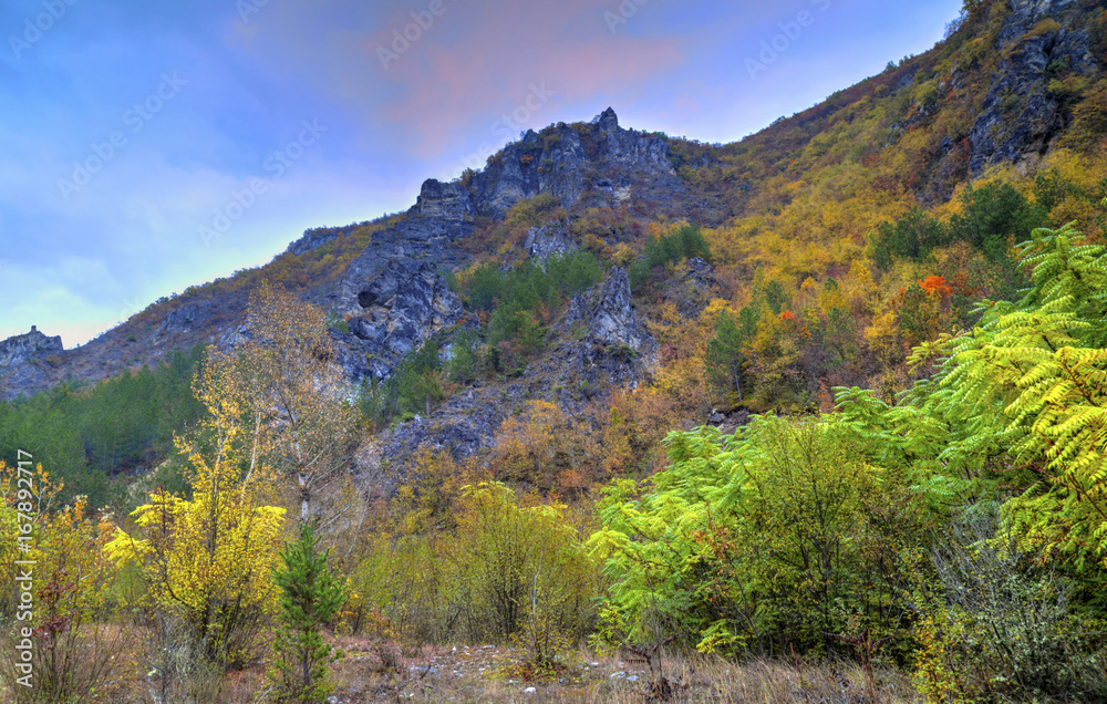 Beautiful landscape in the mountain with colorful autumn forest