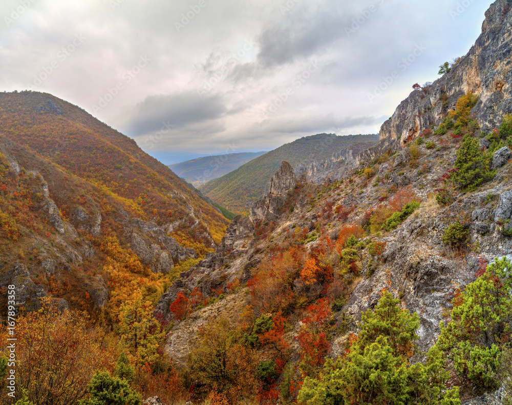 Beautiful landscape in the mountain with colorful autumn forest