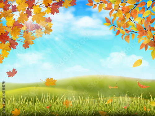 Rural hilly landscape in autumn season. Tree branches with yellow and red leaves on front plan. Grass with fallen foliage on background. Vector realistic illustration.