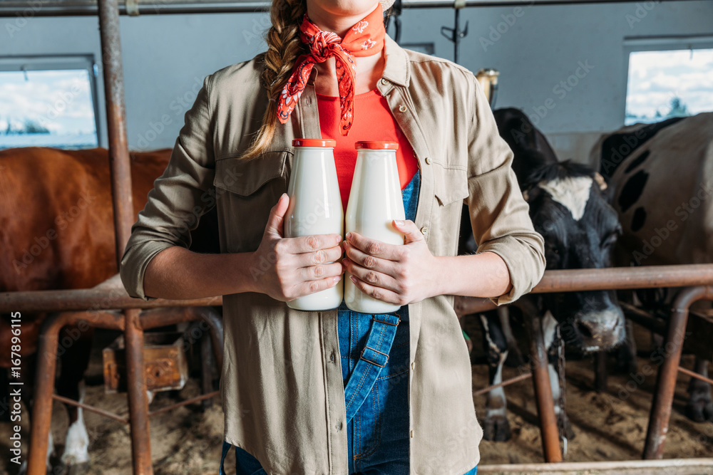 Obraz premium farmer with fresh milk in stall