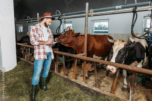 farmer taking notes in cowshed