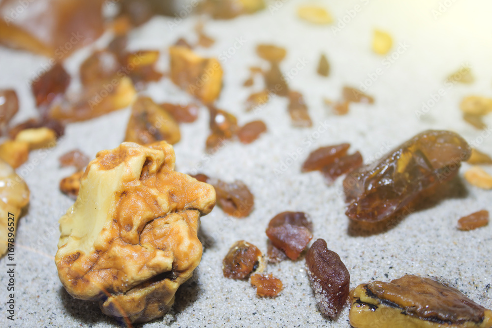 Amber. the pieces of amber in the sand on the beach. Amber. the pieces of amber in the sand on the beach.