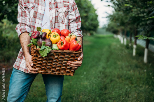 farmer holding basket with vegetables © LIGHTFIELD STUDIOS