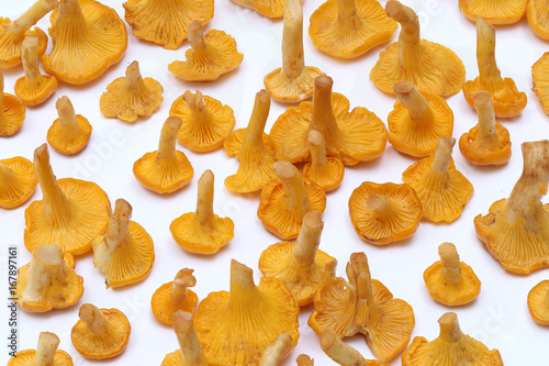 Chanterelle mushrooms isolated on a white background. Cantharellus cibarius. 